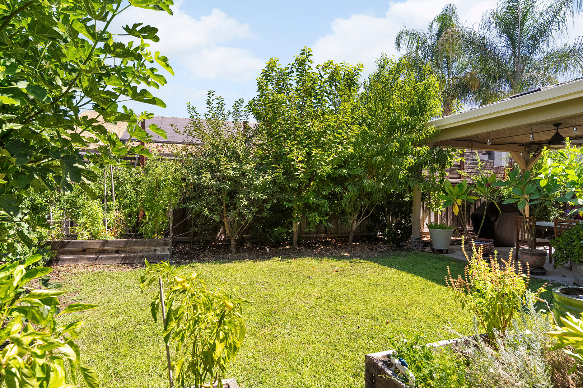 Green backyard lawn framed by mature shade trees