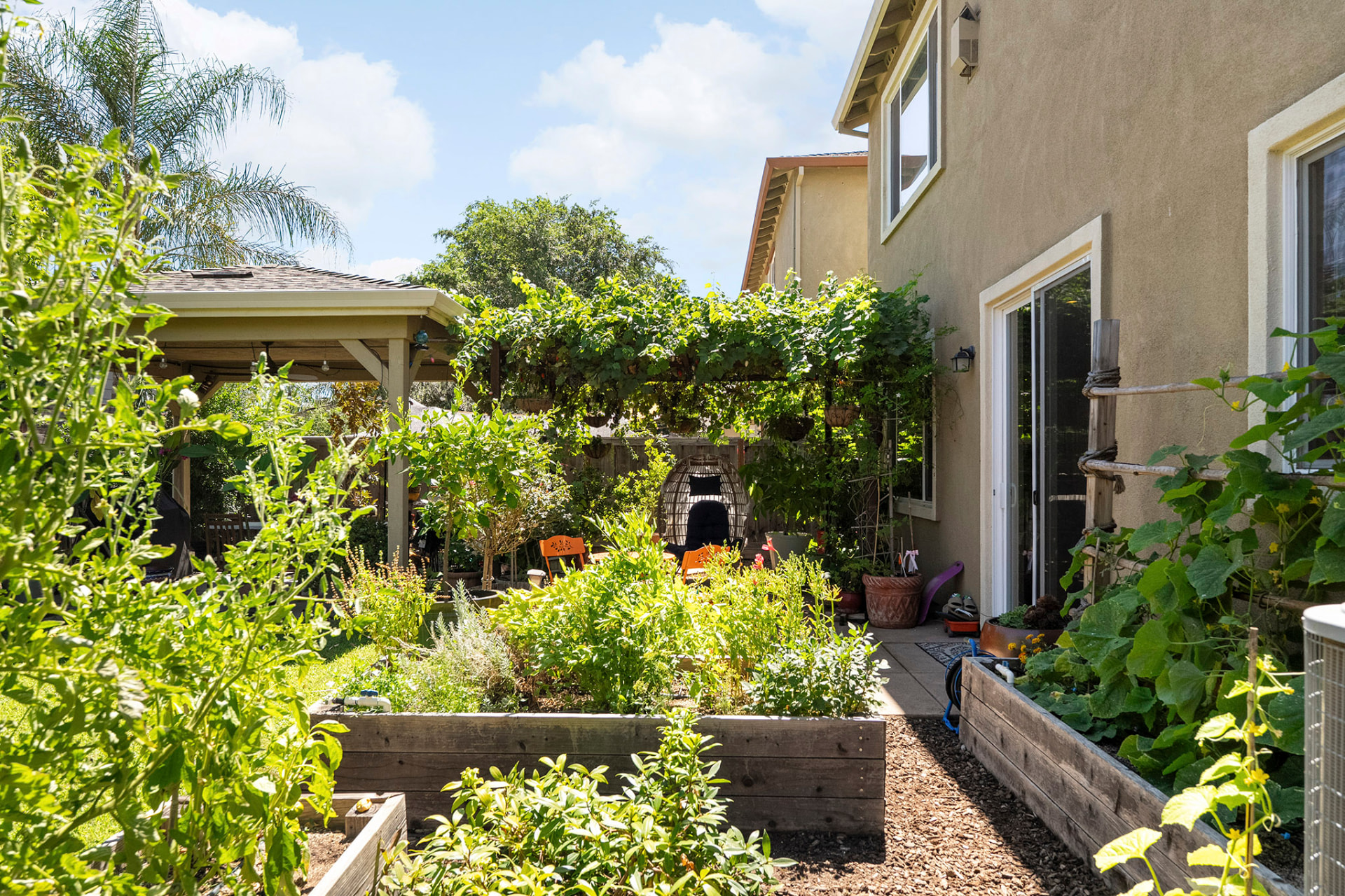 Productive wooden raised garden beds filled with plants
