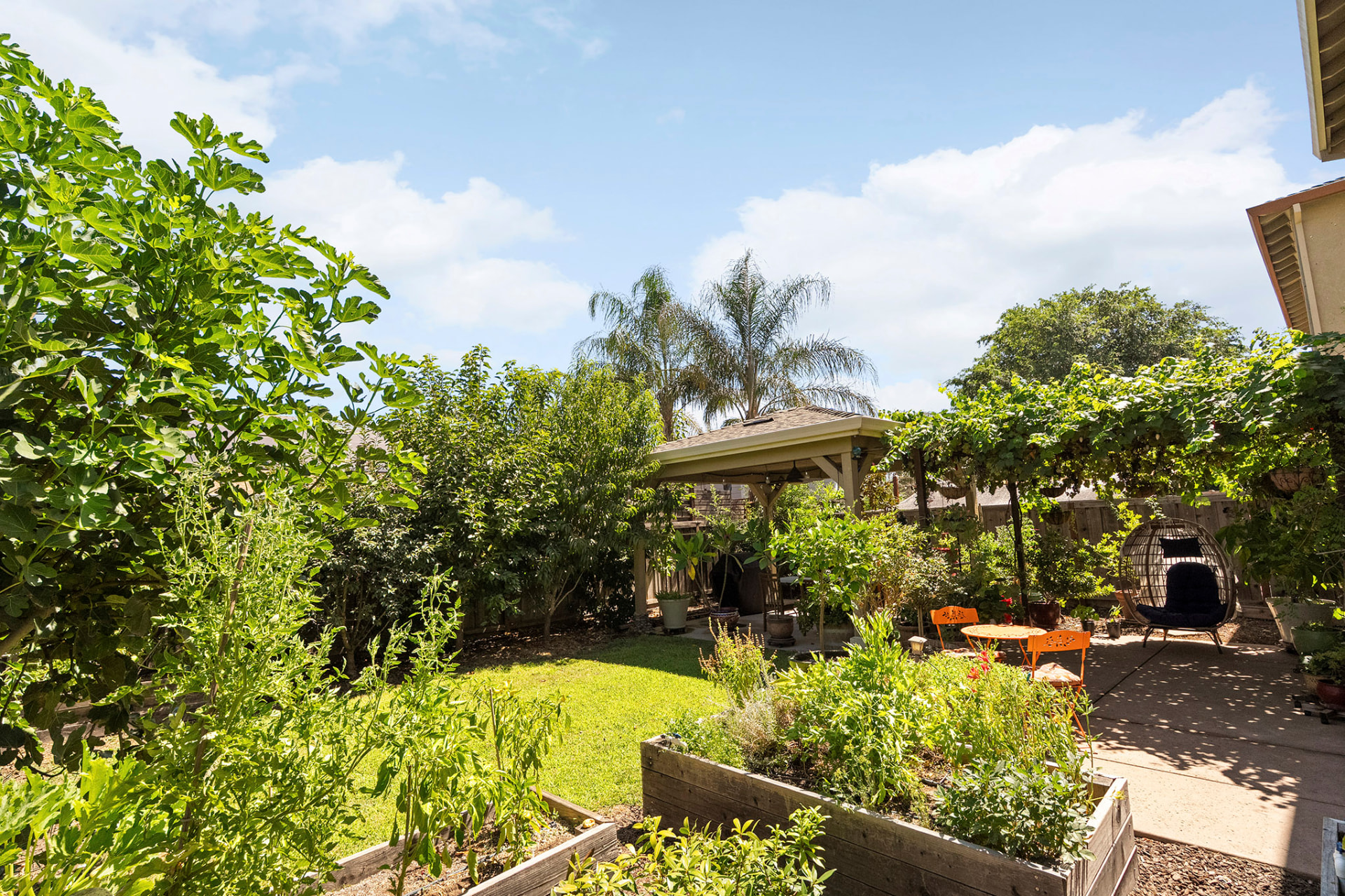 Raised garden beds surrounded by lush backyard greenery